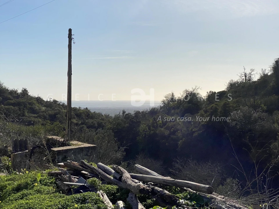 Terreno para Venda em Faro (Sé e São Pedro) Foto 6