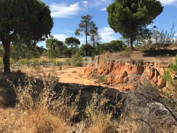 Terreno para Venda em Almancil