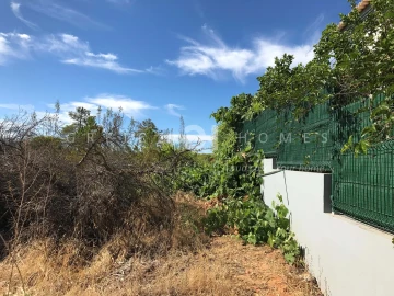 Terreno para Venda em Almancil
