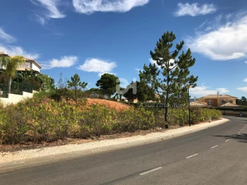 Terreno para Venda em Almancil