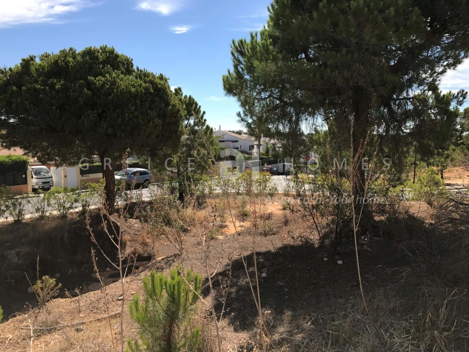 Terreno para Venda em Almancil Foto 14