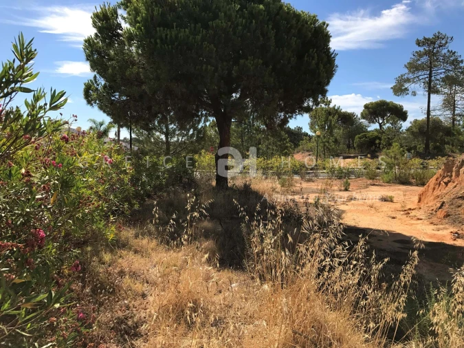 Terreno para Venda em Almancil Foto 13