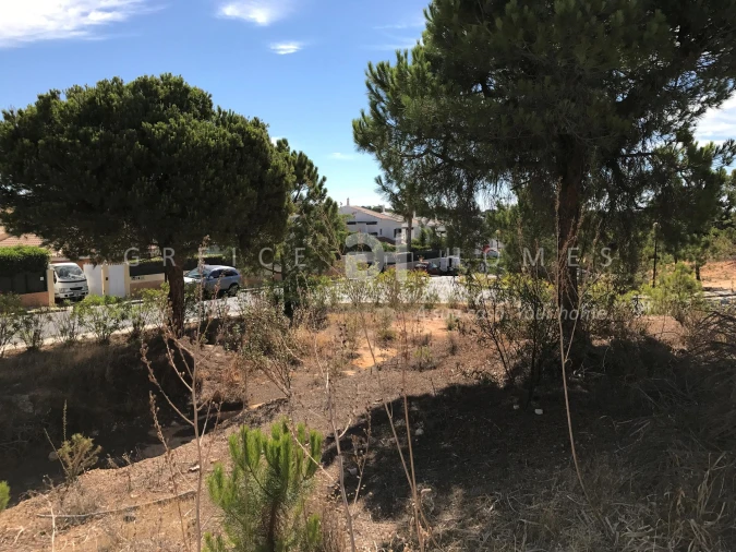 Terreno para Venda em Almancil Foto 15