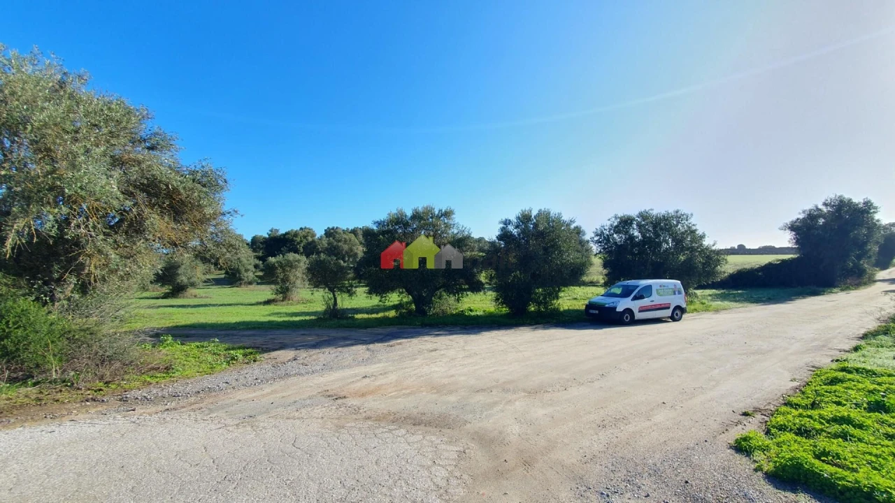Terreno para Venda em Cortiçadas de Lavre e Lavre Foto 15