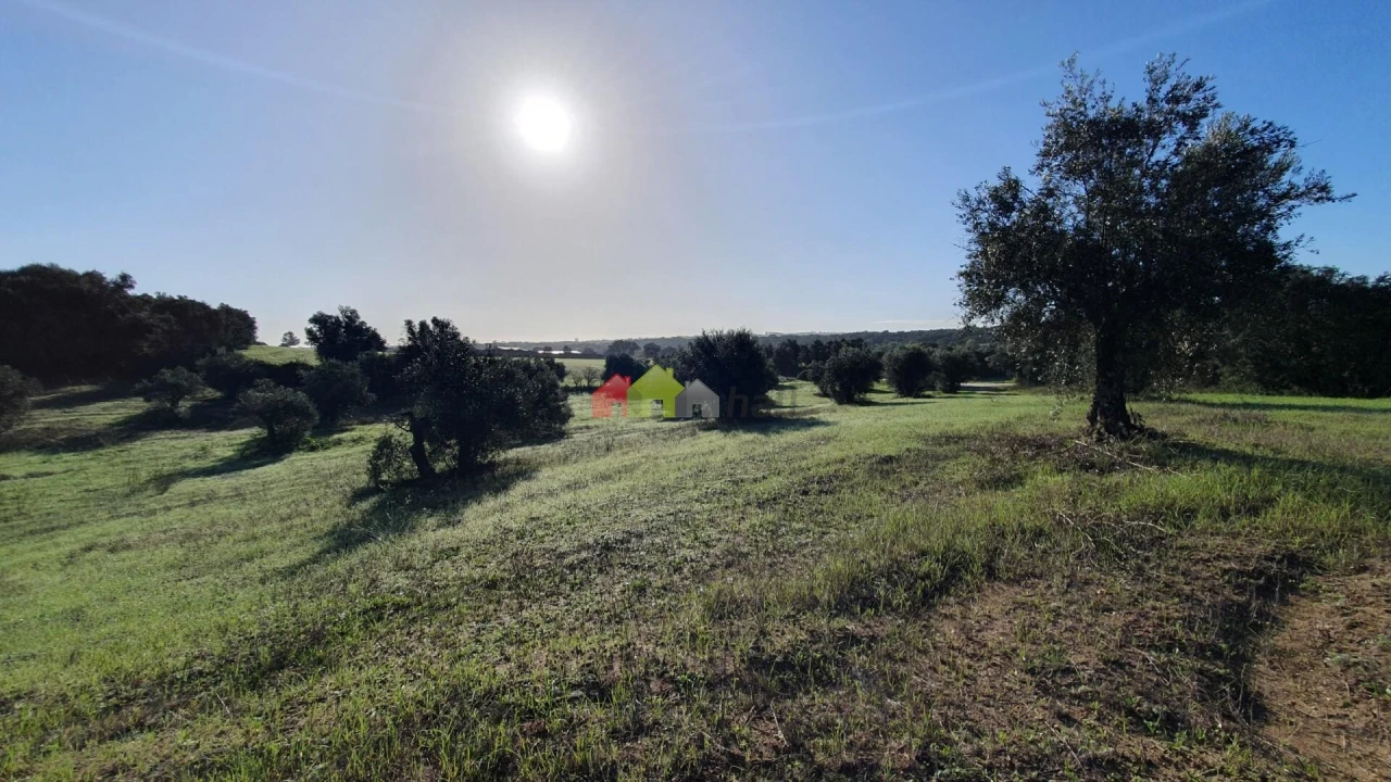 Terreno para Venda em Cortiçadas de Lavre e Lavre Foto 9