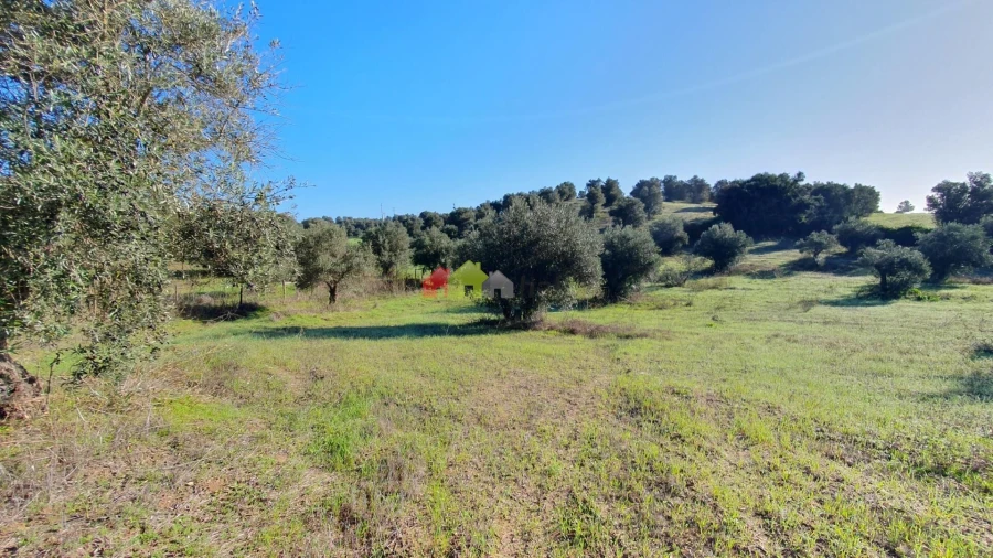Terreno para Venda em Cortiçadas de Lavre e Lavre Foto 8