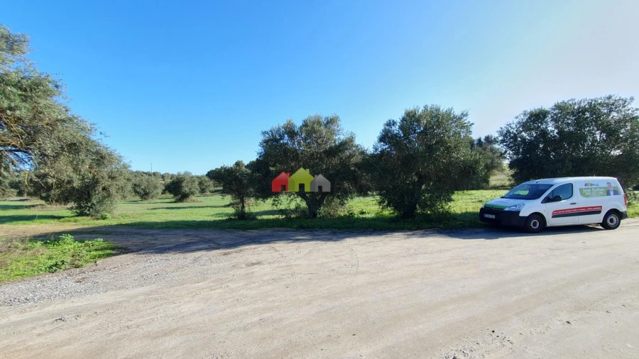 Terreno para Venda em Cortiçadas de Lavre e Lavre Foto 14