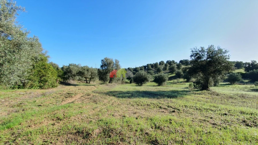 Terreno para Venda em Cortiçadas de Lavre e Lavre Foto 6