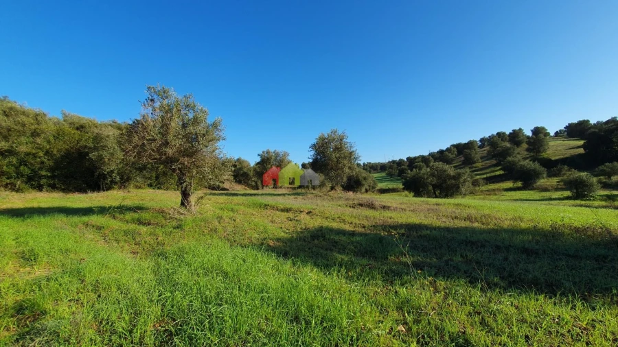 Terreno para Venda em Cortiçadas de Lavre e Lavre Foto 10