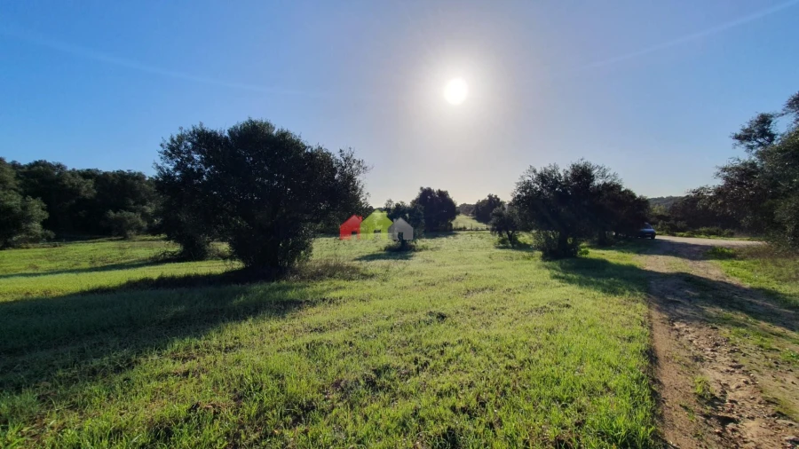 Terreno para Venda em Cortiçadas de Lavre e Lavre Foto 5
