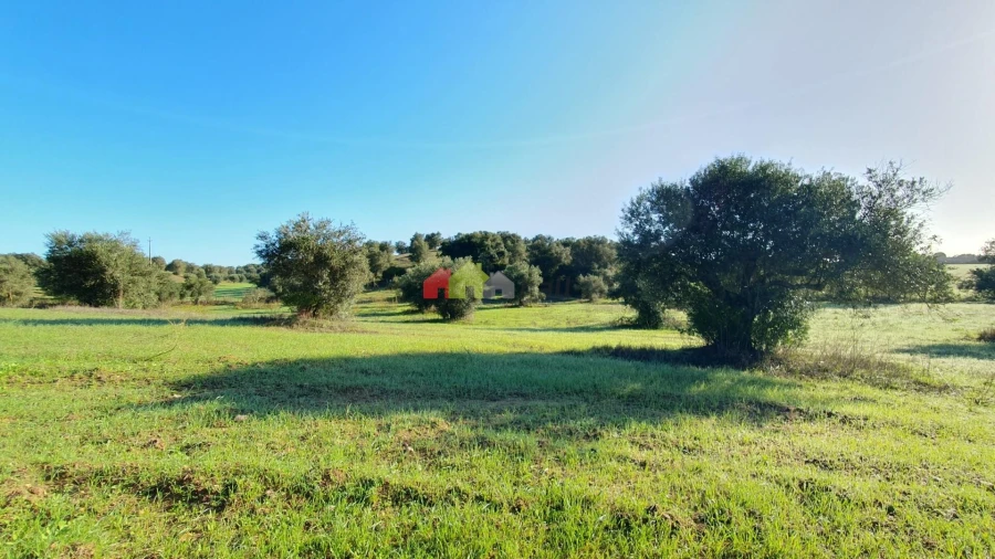 Terreno para Venda em Cortiçadas de Lavre e Lavre Foto 4