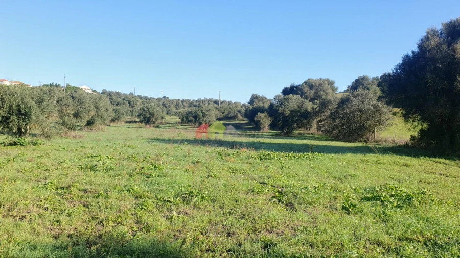 Terreno para Venda em Cortiçadas de Lavre e Lavre