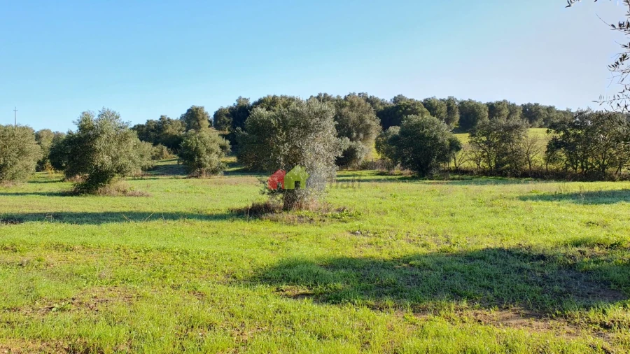 Terreno para Venda em Cortiçadas de Lavre e Lavre Foto 2