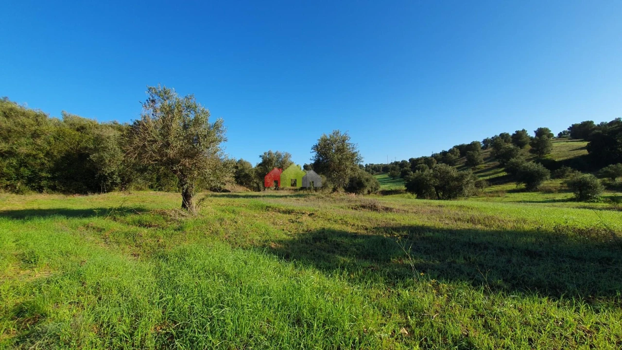 Terreno para Venda em Cortiçadas de Lavre e Lavre Foto 10
