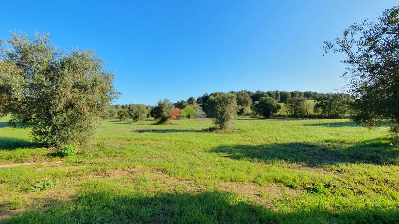 Terreno para Venda em Cortiçadas de Lavre e Lavre Foto 3