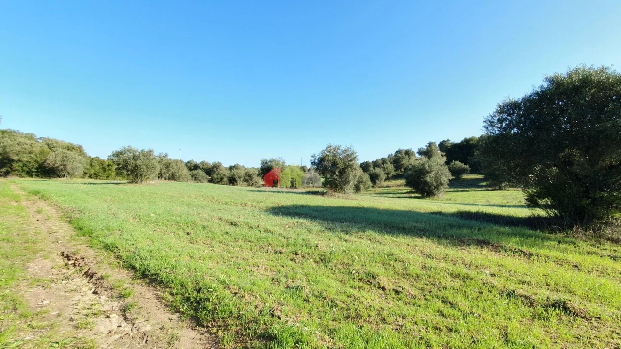 Terreno para Venda em Cortiçadas de Lavre e Lavre Foto 11