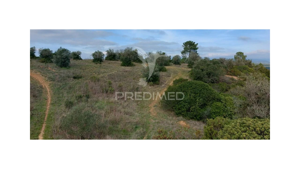 Terreno para Venda em Arneiro das Milhariças Foto 6