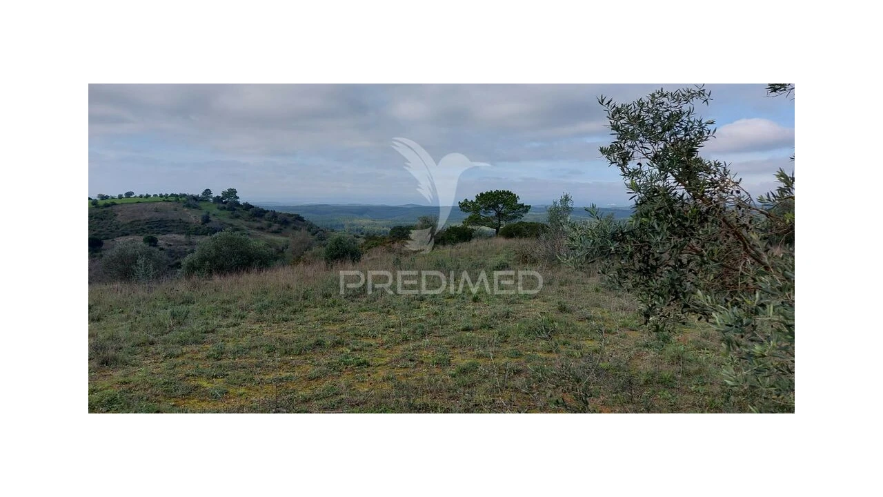 Terreno para Venda em Arneiro das Milhariças Foto 2
