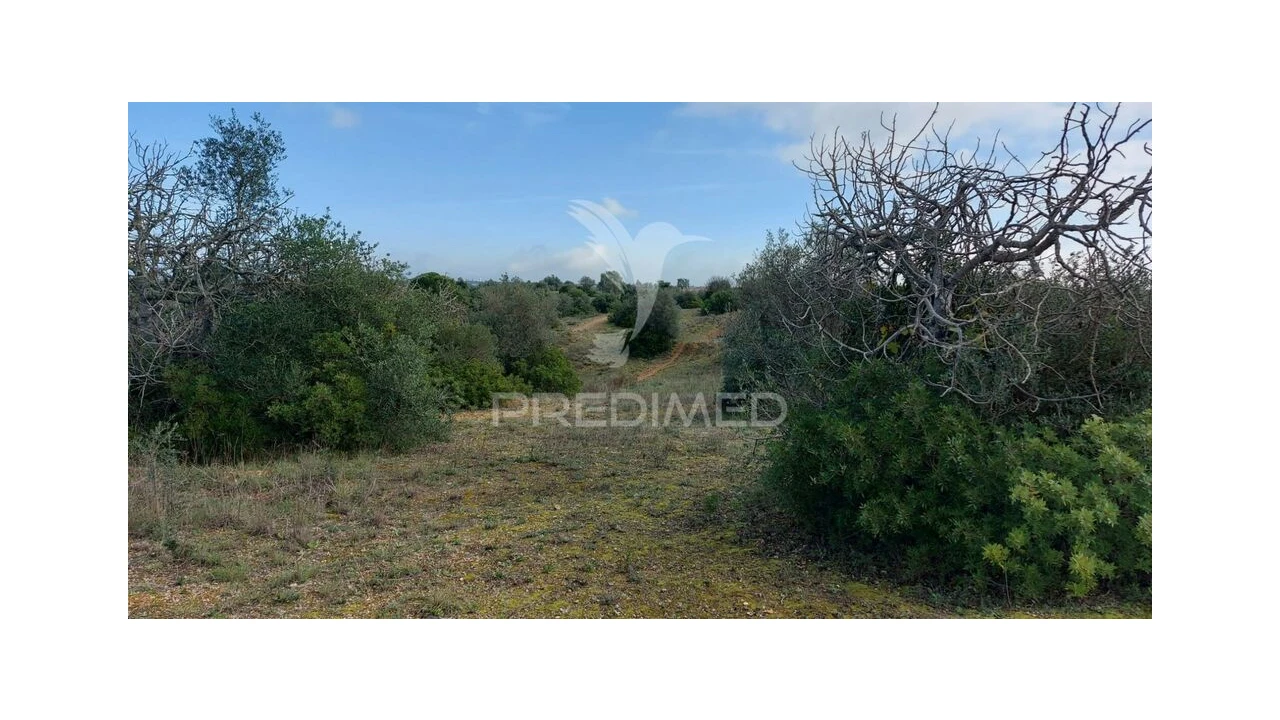 Terreno para Venda em Arneiro das Milhariças Foto 12