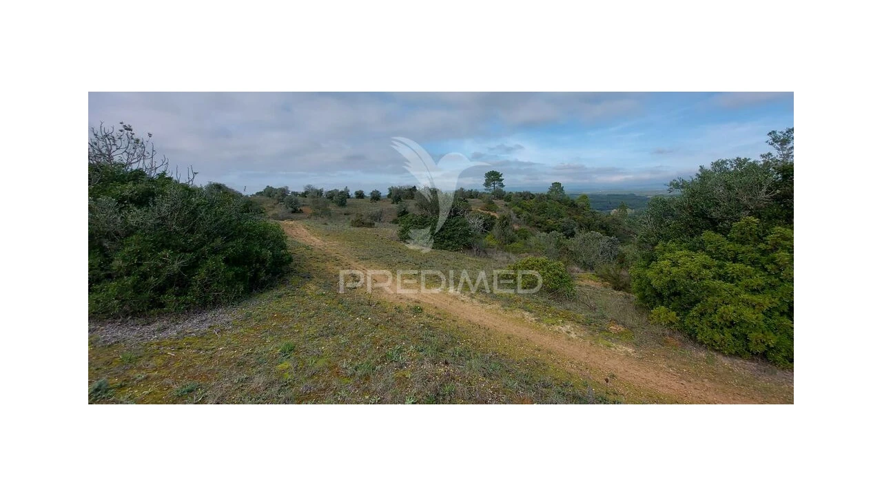 Terreno para Venda em Arneiro das Milhariças Foto 15