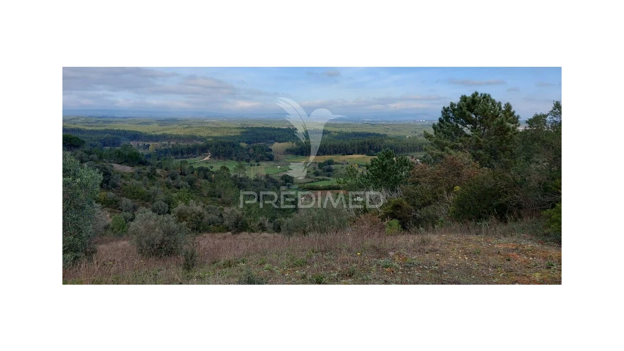 Terreno para Venda em Arneiro das Milhariças Foto 5