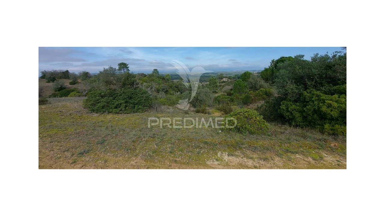 Terreno para Venda em Arneiro das Milhariças Foto 18
