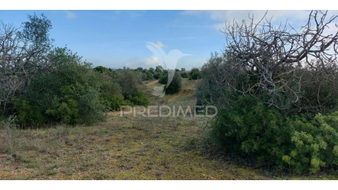 Terreno para Venda em Arneiro das Milhariças