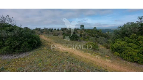 Terreno para Venda em Arneiro das Milhariças