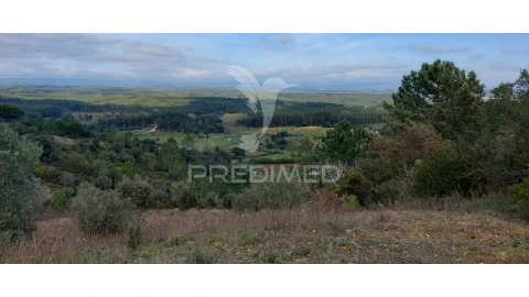 Terreno para Venda em Arneiro das Milhariças
