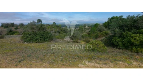 Terreno para Venda em Arneiro das Milhariças