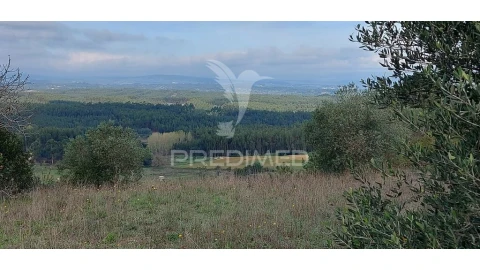 Terreno para Venda em Arneiro das Milhariças