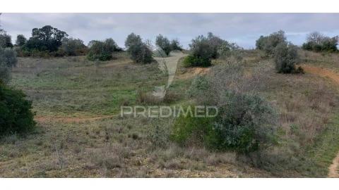 Terreno para Venda em Arneiro das Milhariças