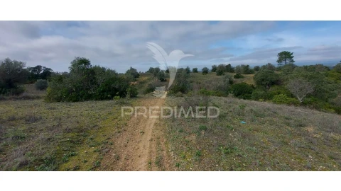 Terreno para Venda em Arneiro das Milhariças