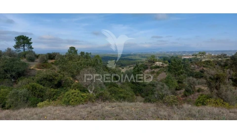 Terreno para Venda em Arneiro das Milhariças