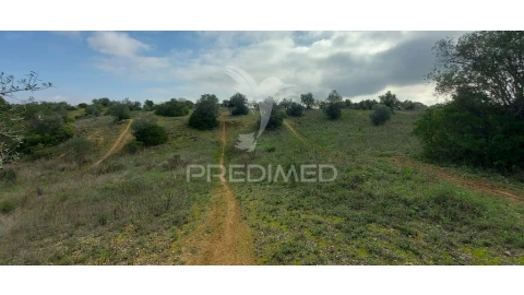 Terreno para Venda em Arneiro das Milhariças