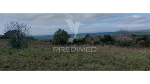 Terreno para Venda em Arneiro das Milhariças