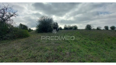 Terreno para Venda em Arneiro das Milhariças