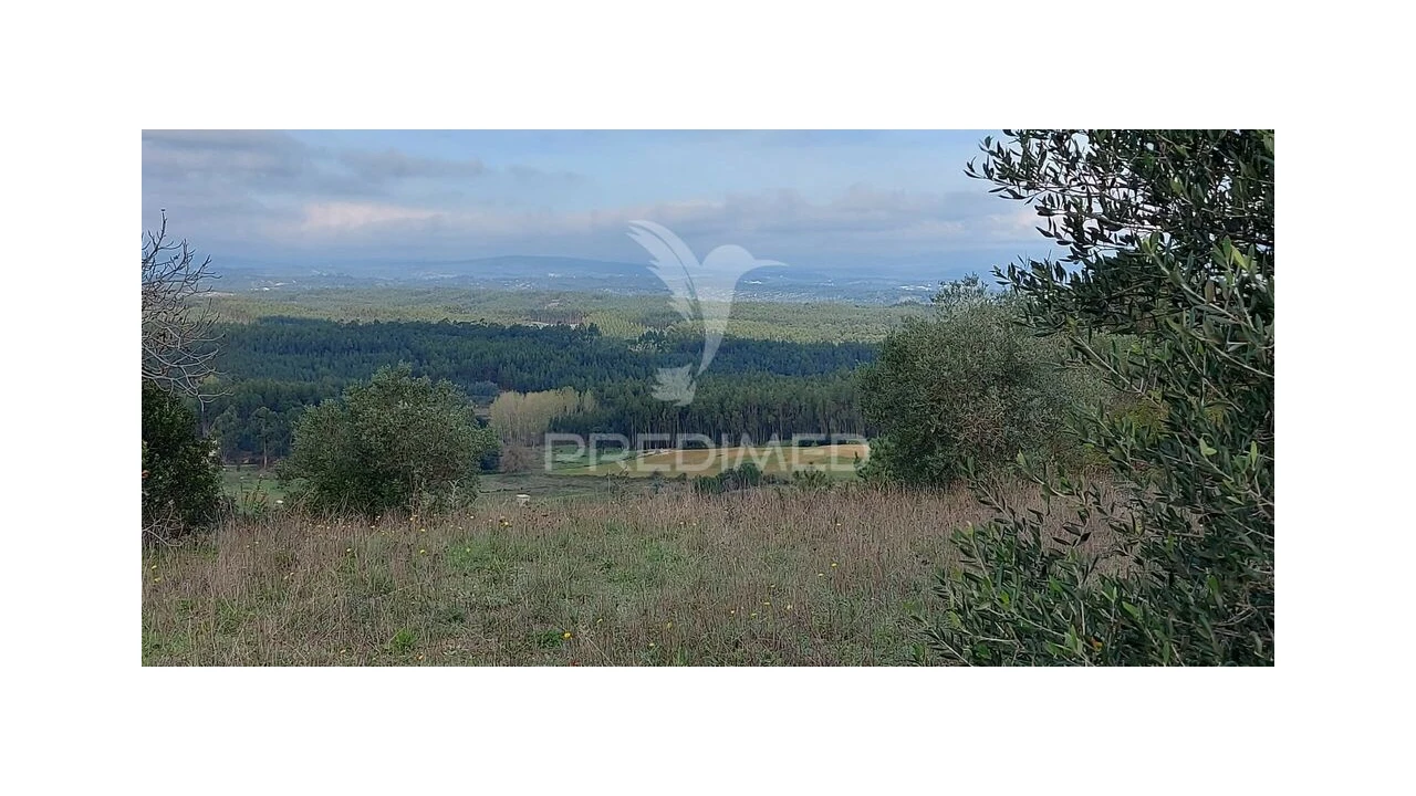 Terreno para Venda em Arneiro das Milhariças Foto 1