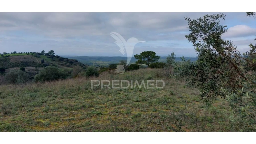 Terreno para Venda em Arneiro das Milhariças Foto 2