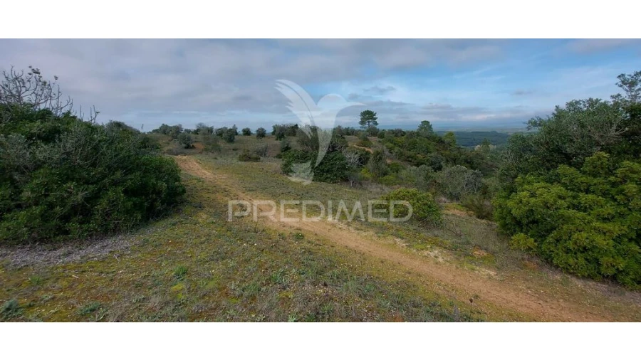 Terreno para Venda em Arneiro das Milhariças Foto 15