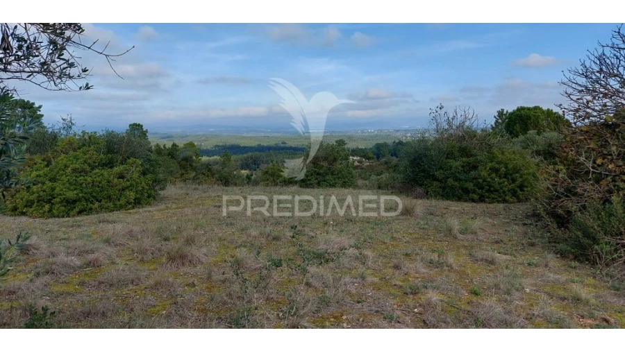 Terreno para Venda em Arneiro das Milhariças Foto 14
