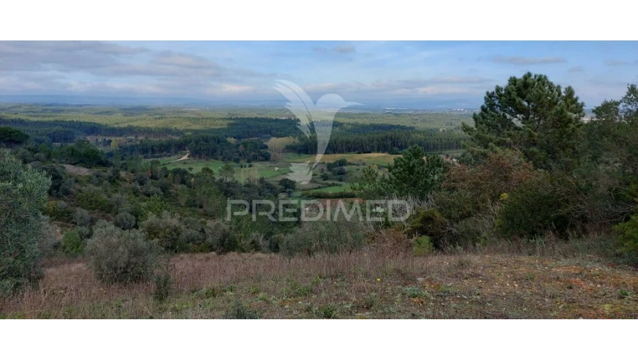 Terreno para Venda em Arneiro das Milhariças Foto 5