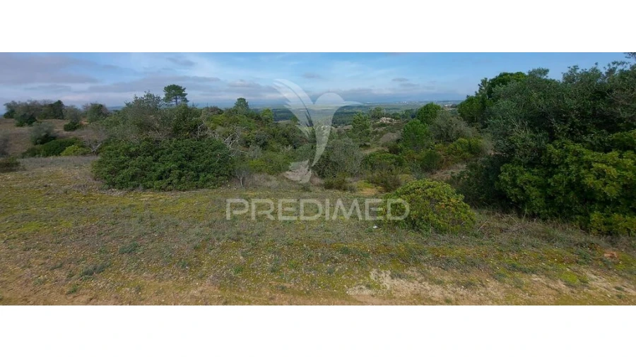 Terreno para Venda em Arneiro das Milhariças Foto 18