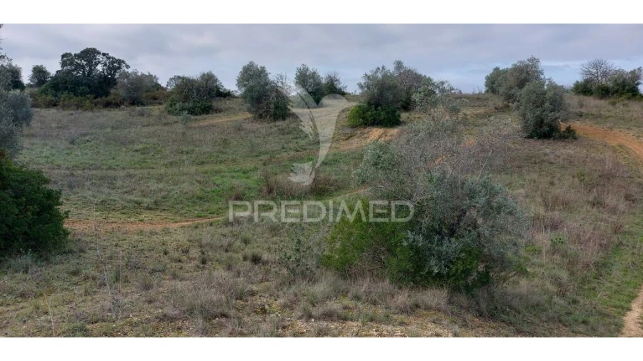 Terreno para Venda em Arneiro das Milhariças Foto 7