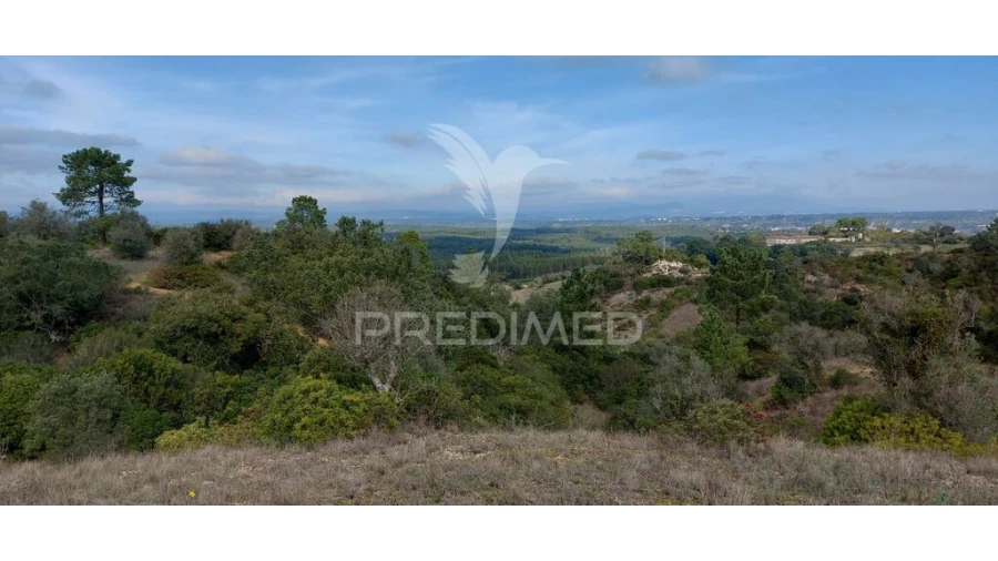 Terreno para Venda em Arneiro das Milhariças Foto 19