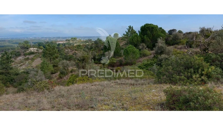 Terreno para Venda em Arneiro das Milhariças Foto 20