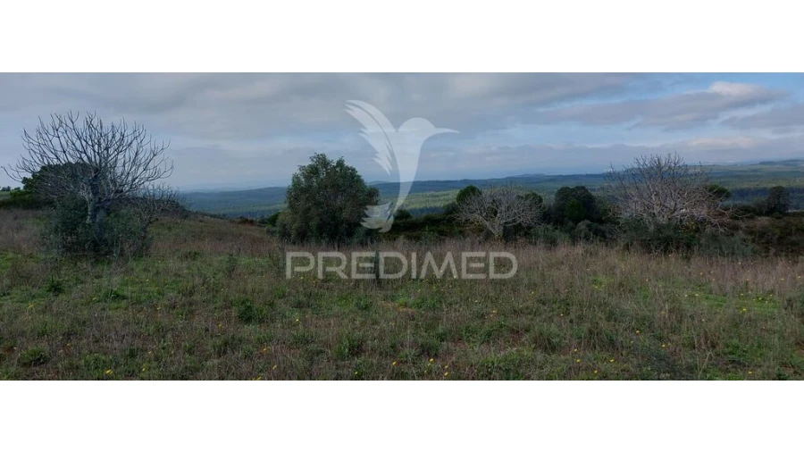 Terreno para Venda em Arneiro das Milhariças Foto 13