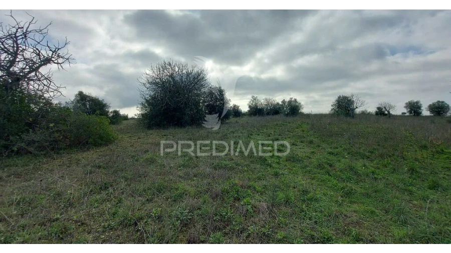 Terreno para Venda em Arneiro das Milhariças Foto 10