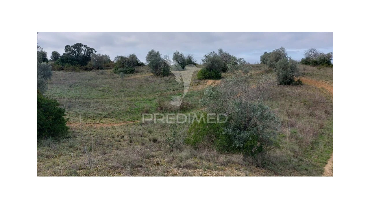 Terreno para Venda em Arneiro das Milhariças Foto 7