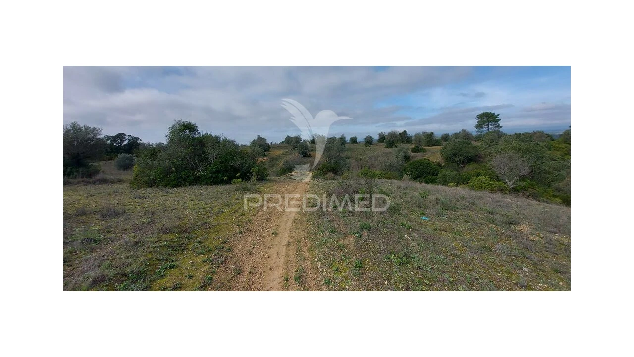 Terreno para Venda em Arneiro das Milhariças Foto 11
